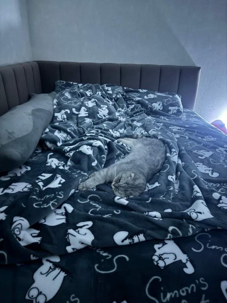 photo_2025-04-28_21-46-41