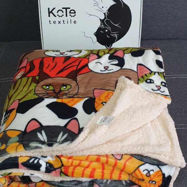 photo_2025-11-13_14-59-17