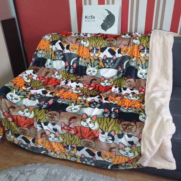 photo_2025-11-13_14-59-18