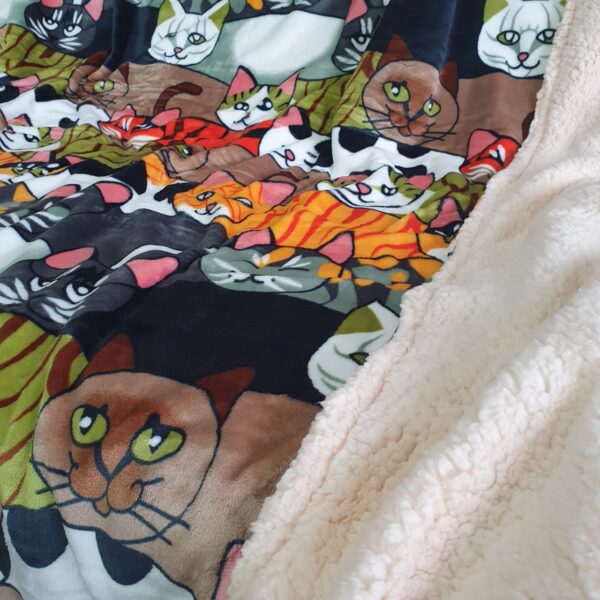 photo_2025-11-13_14-59-20